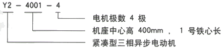 YR系列(H355-1000)高压YJTFKK5005-4三相异步电机西安西玛电机型号说明